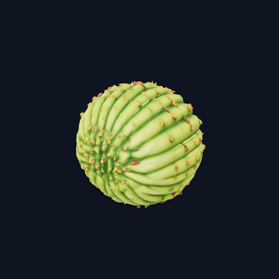 Round Cactus Sphere model pack